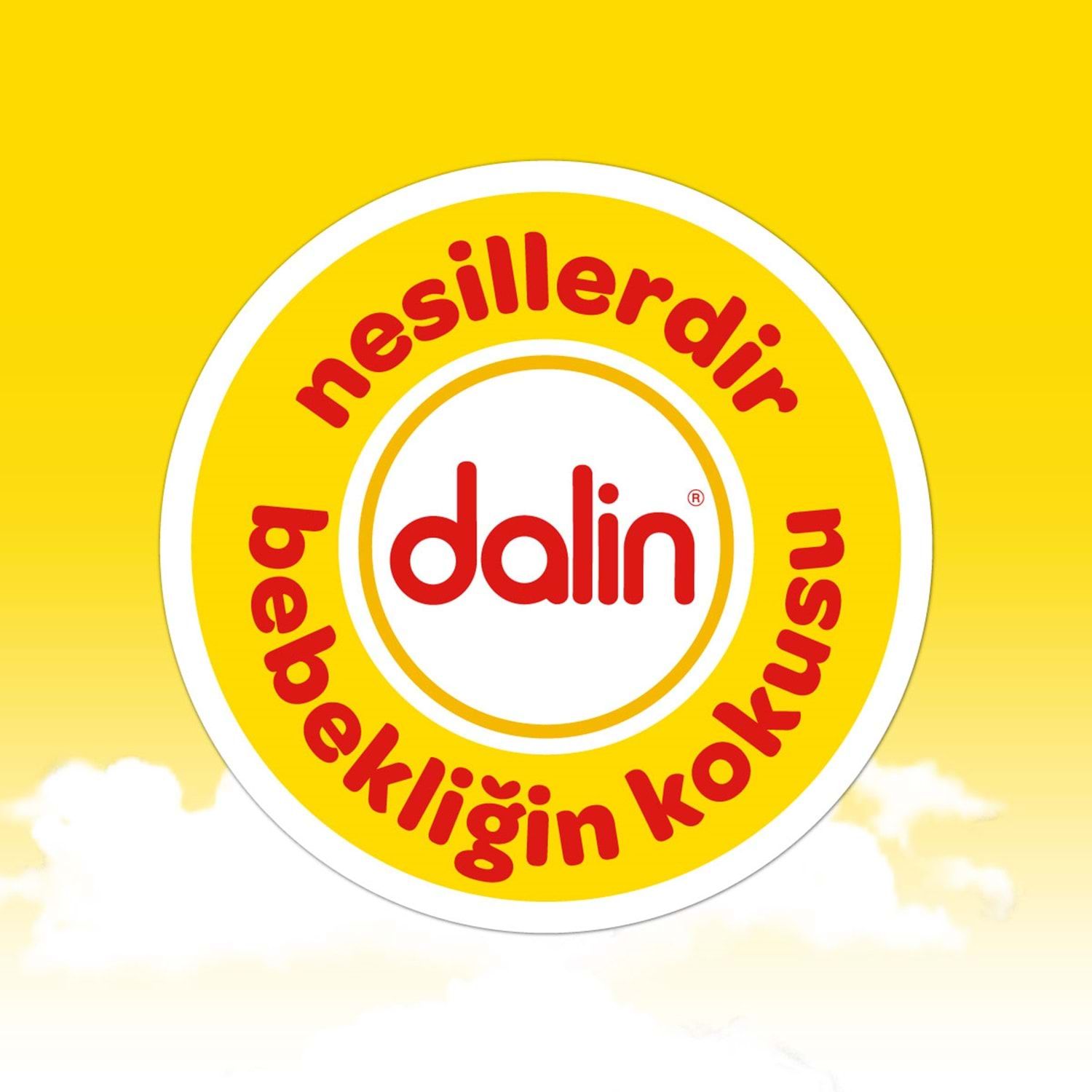 Dalin Islak Havlu Kapaklı 56 Lı x 12 Paket = 672 Yaprak
