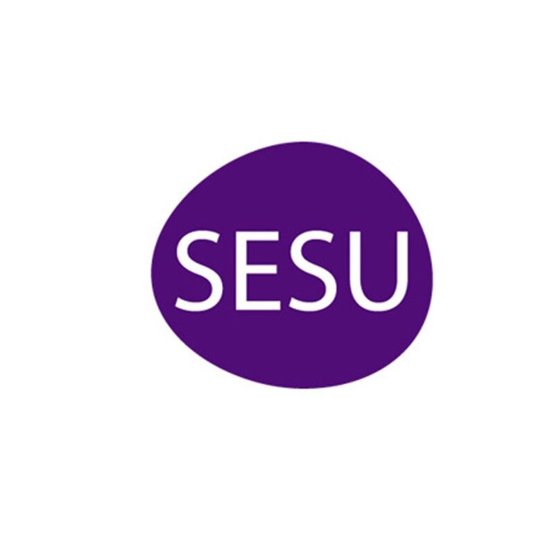 Sesu Sir Ağda Bantları Yüz Bölgesi Hassas Ciltler 20 Li x 3 Adet