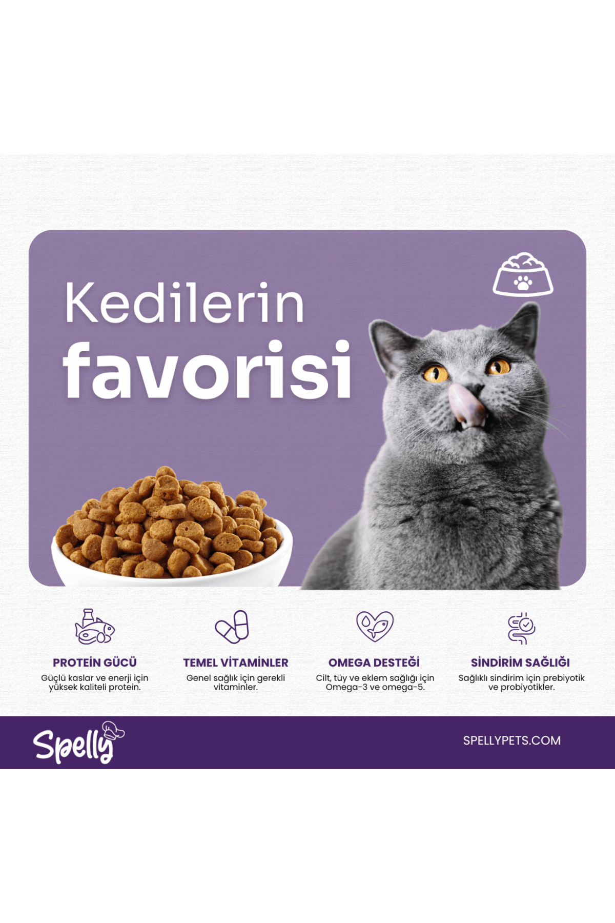 12 Adet xSpelly Yetişkin Kedi Maması Balıklı (0,3Kg)