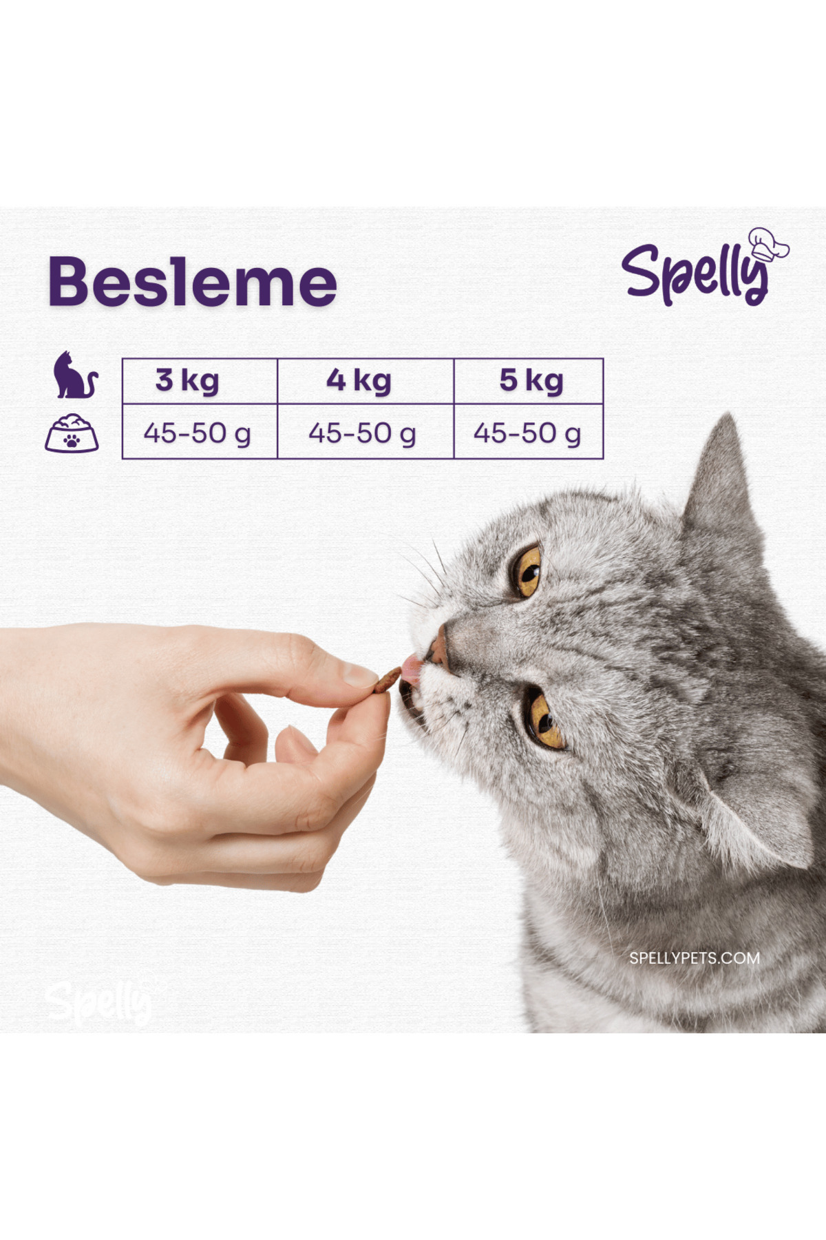 Premium Yetişkin Kedi Maması - Tavuk (1,2kg)