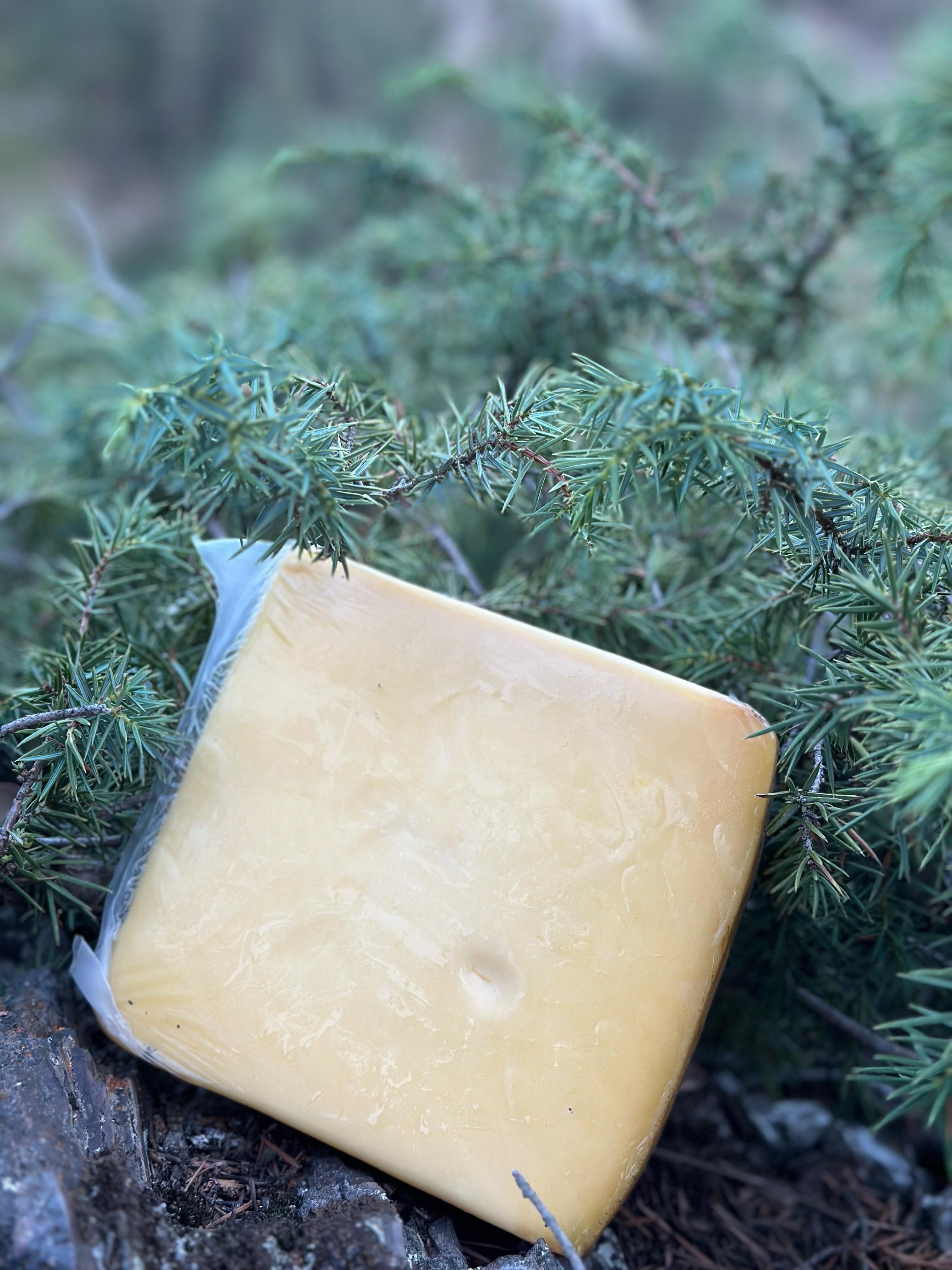 Eski Kars Kaşarı 1 KG