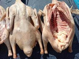 Taze Kesilmiş Kars Kazı 3,5-4 KG