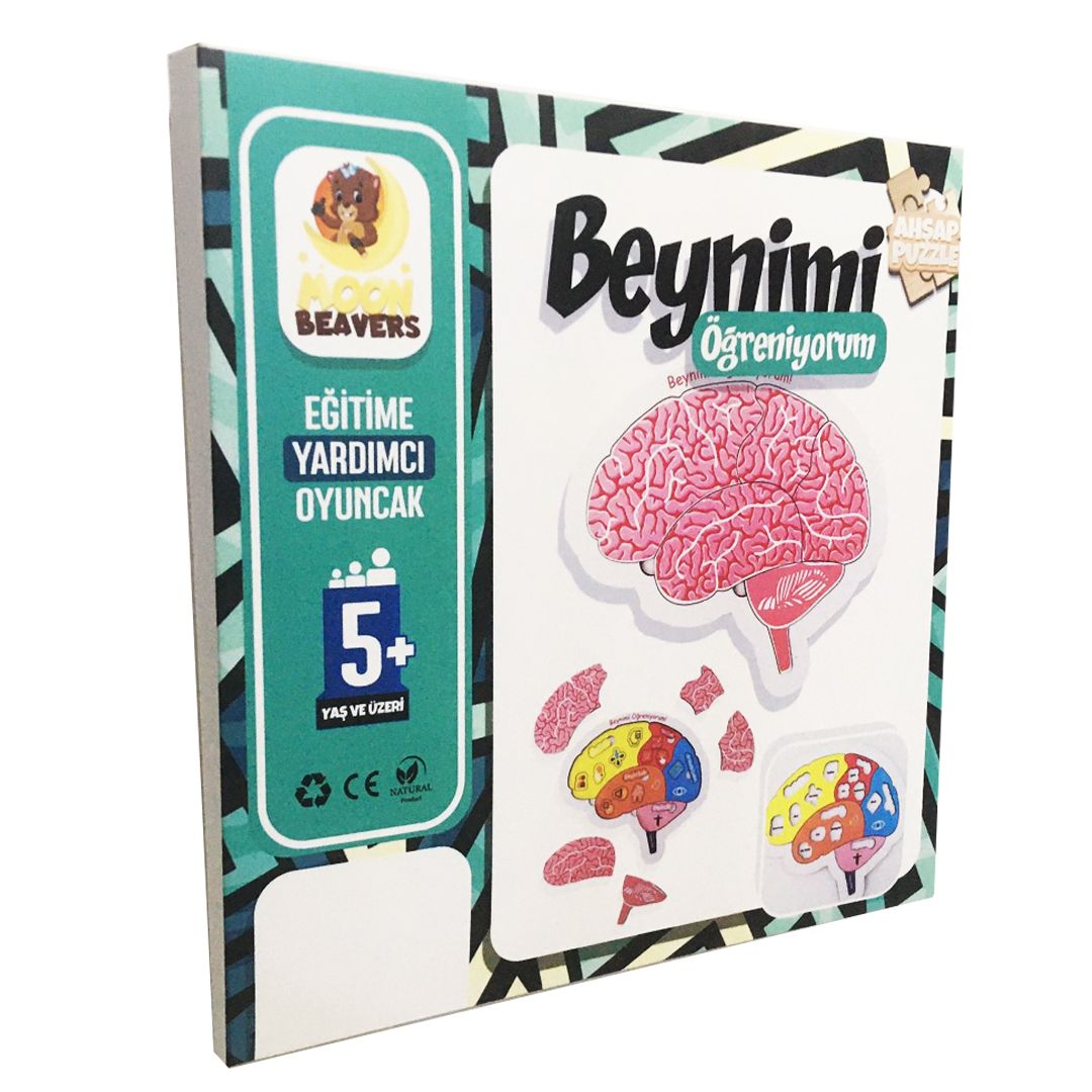 Derslere Katkı Sağlayan Set - 3
