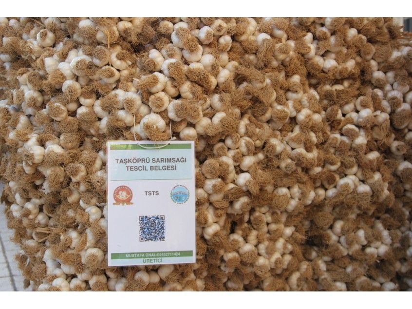 Hakiki Doğal Taşköprü Sarımsağı 1 KG (Küçük Boy) - 8KG Üzeri Kargo Ücretsiz