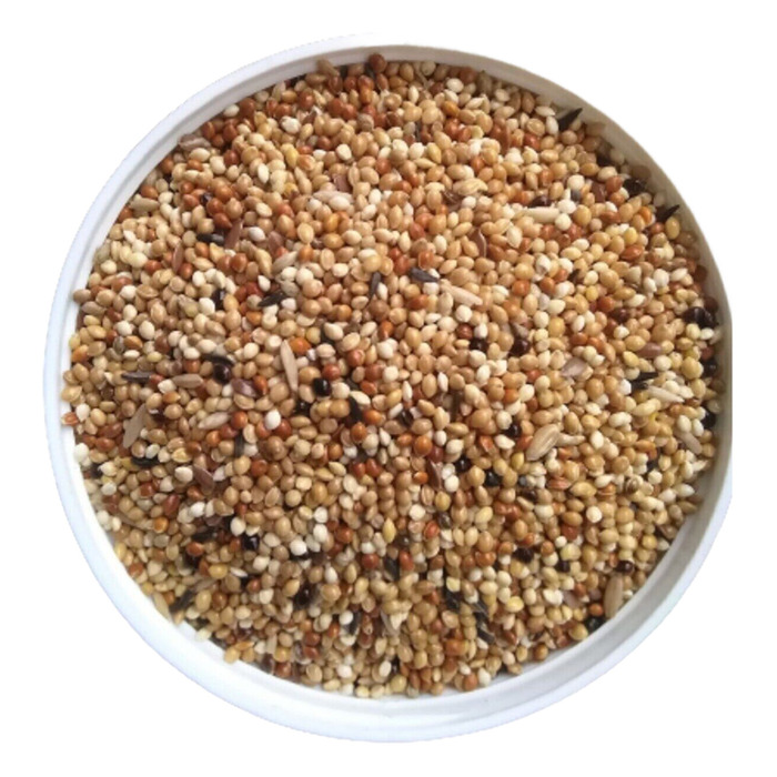Vivid Muhabbet Kuşu Yemi Açık 1 KG