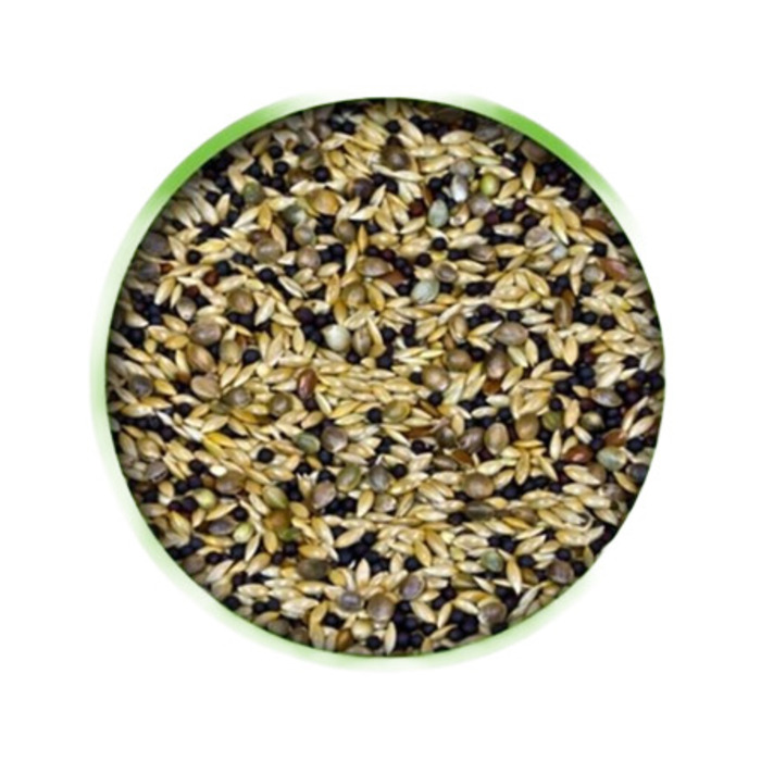 Vivid Karışık Kanarya Yemi Açık 1 KG