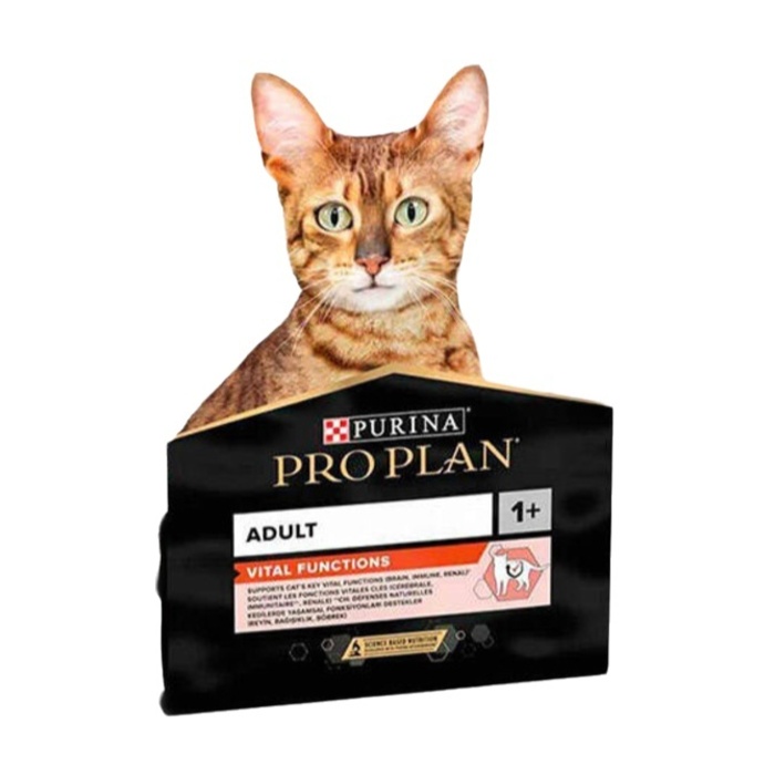 Somonlu ve Pirinçli Yetişkin Kedi Maması 3 KG