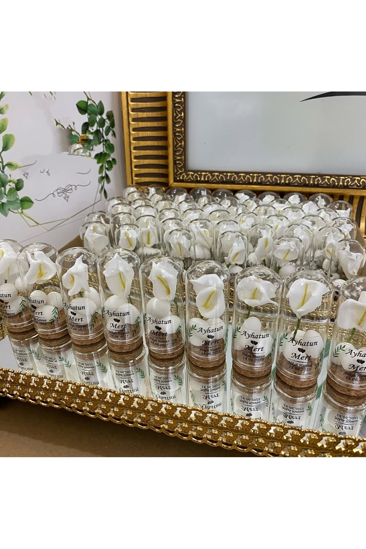 Cam Fanus Kardelen Çiçek ve Fıstık Şekerli Nikah, Söz, Nişan Hediyelik - 25 Adet