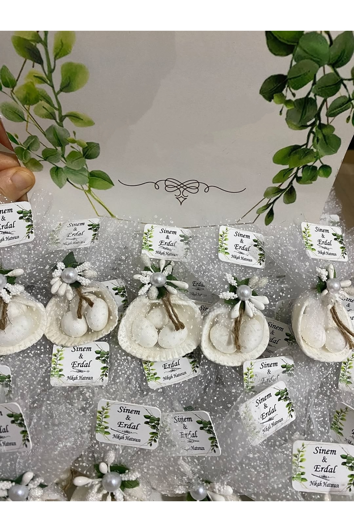 Deniz Kabuğu Fıstık Şekerli Nikah, Söz, Nişan Hediyelik - 50 Adet