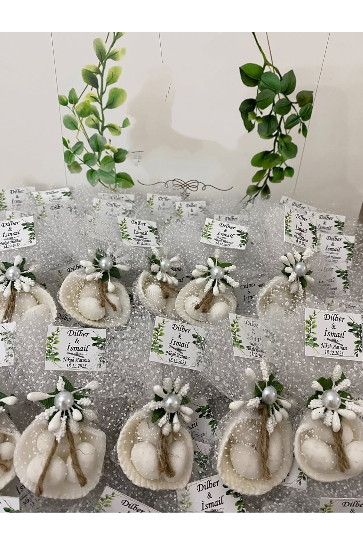 Deniz Kabuğu Fıstık Şekerli Nikah, Söz, Nişan Hediyelik - 25 Adet