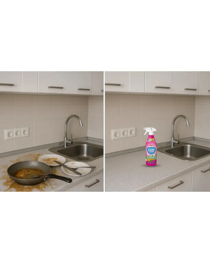 Çokhosh Çok Amaçlı Temizleyici 700 Ml.
