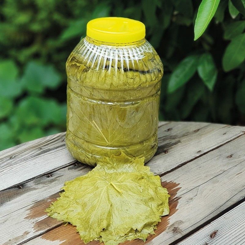 5 kg - Yeni Mahsul Salamura Yaprak - Doğal ve Katkısız