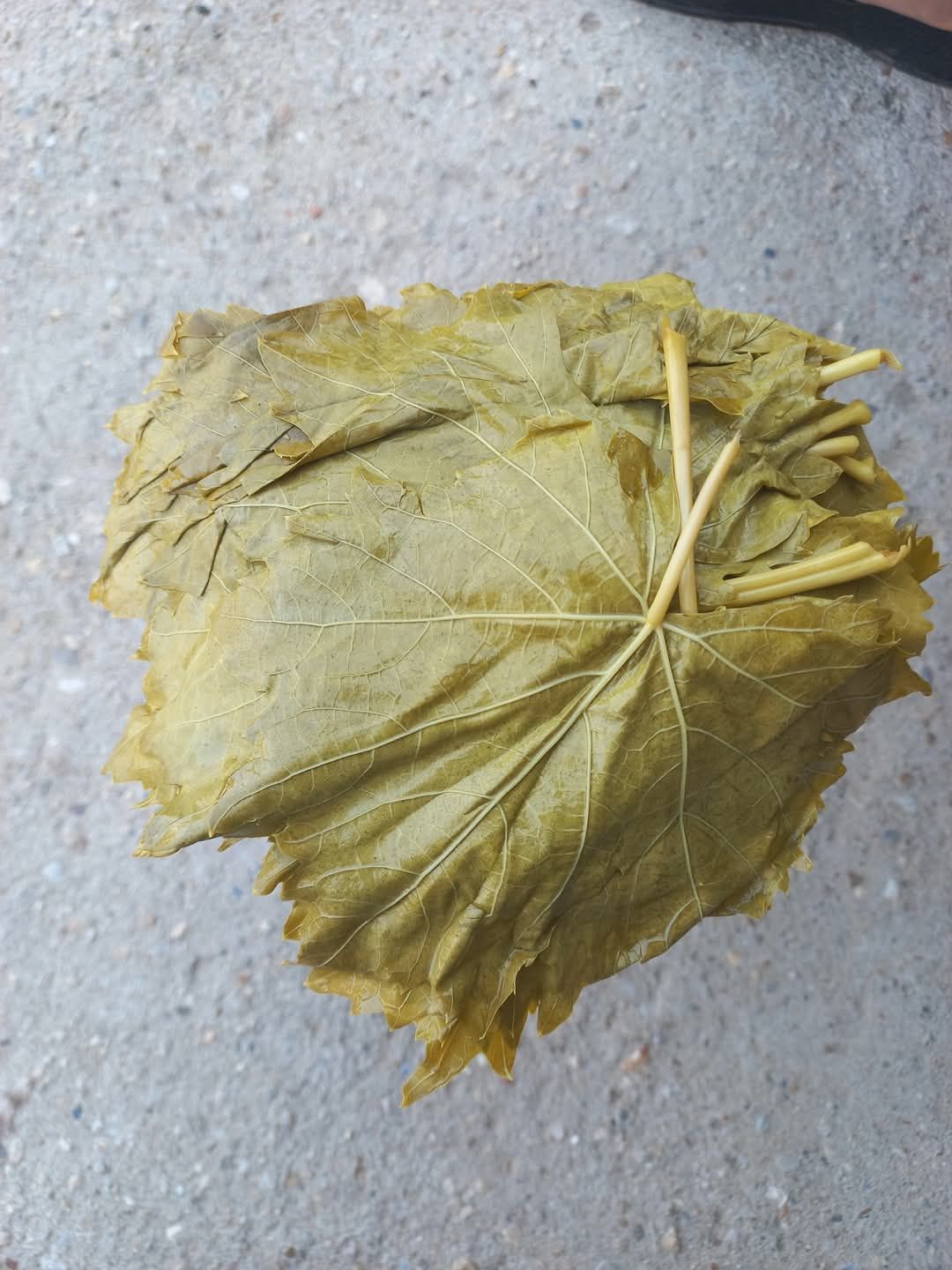 5 kg - Yeni Mahsul Salamura Yaprak - Doğal ve Katkısız