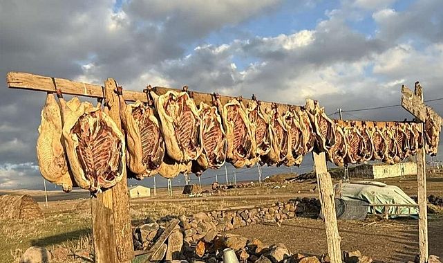 KARS KAZI