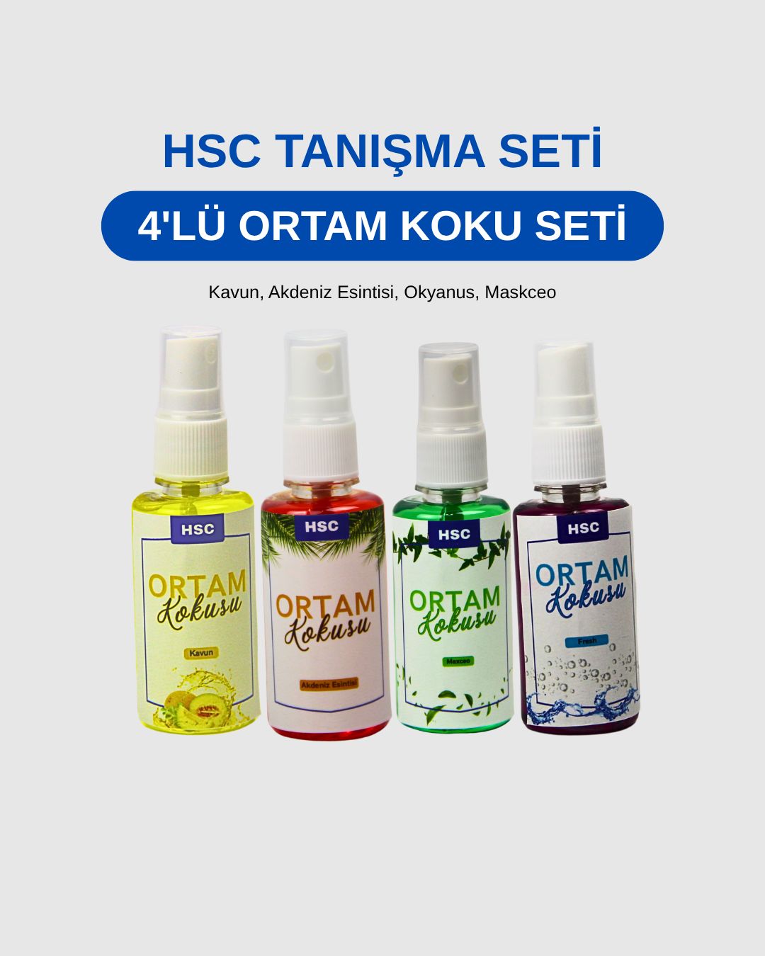 4'LÜ Ortam Kokusu Seti - 50cc Sprey – Ferahlatıcı Taşınabilir Ortam Kokusu Seti