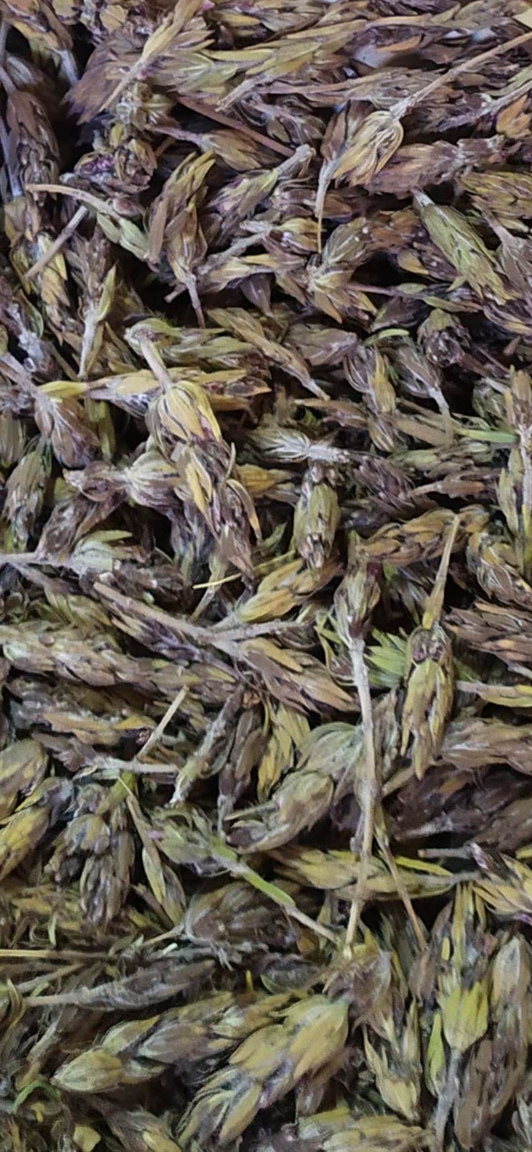 Dağ Kekiği (250gr)