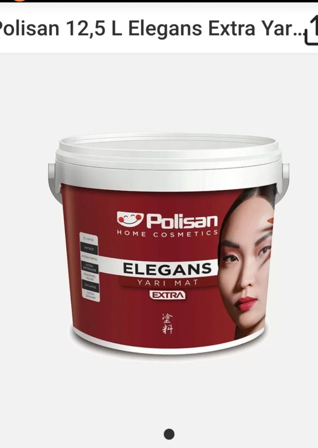 Polisan Elagans Küf Önleyici Boya 2,5 Kg