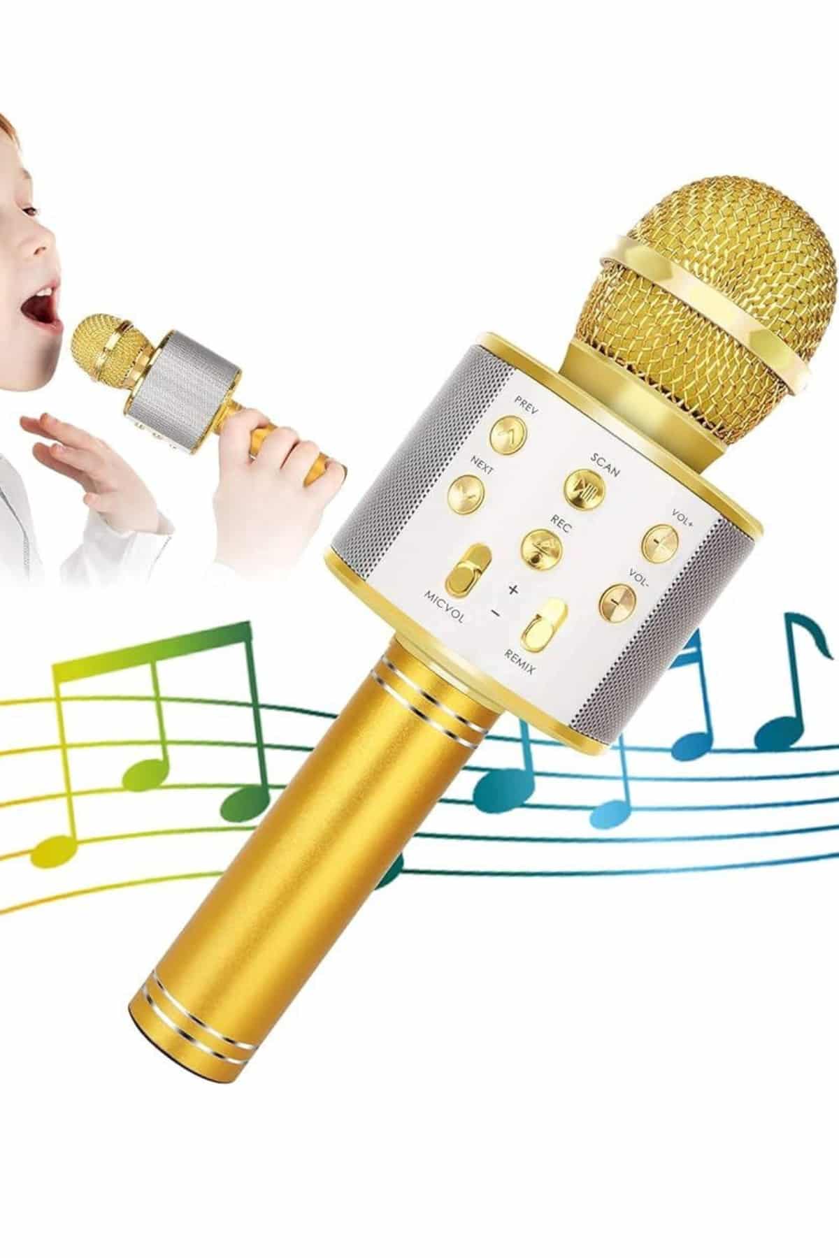 Karaoke Mikrofon Dahili Hoparlörlü Sd-usb-aux Girişli Bluetooth Hoparlör