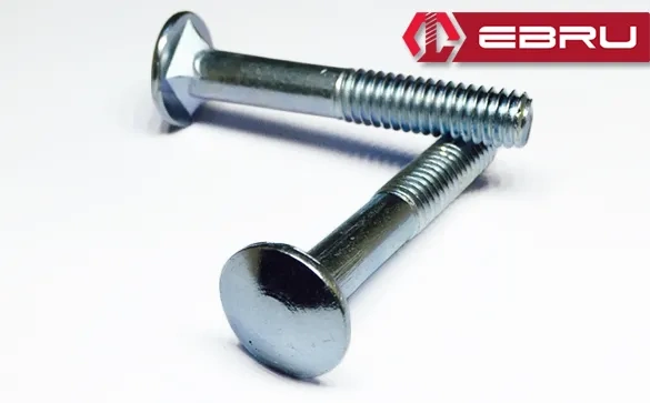Ebru Kasa Civata 5/16x60 - 100 Adet