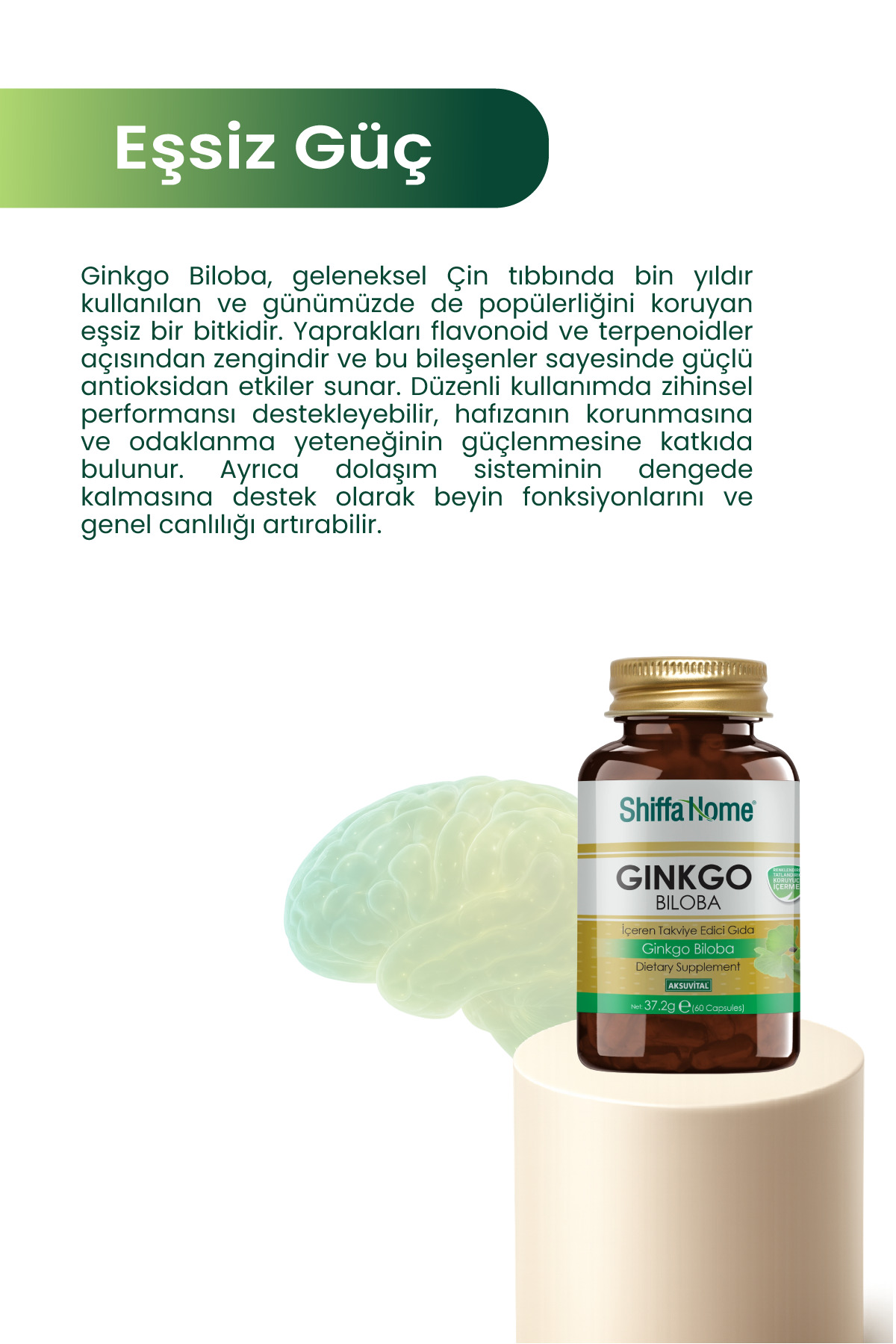 Shiffa Home Ginkgo Biloba 60 Kapsül Ginko Biloba Kapsül