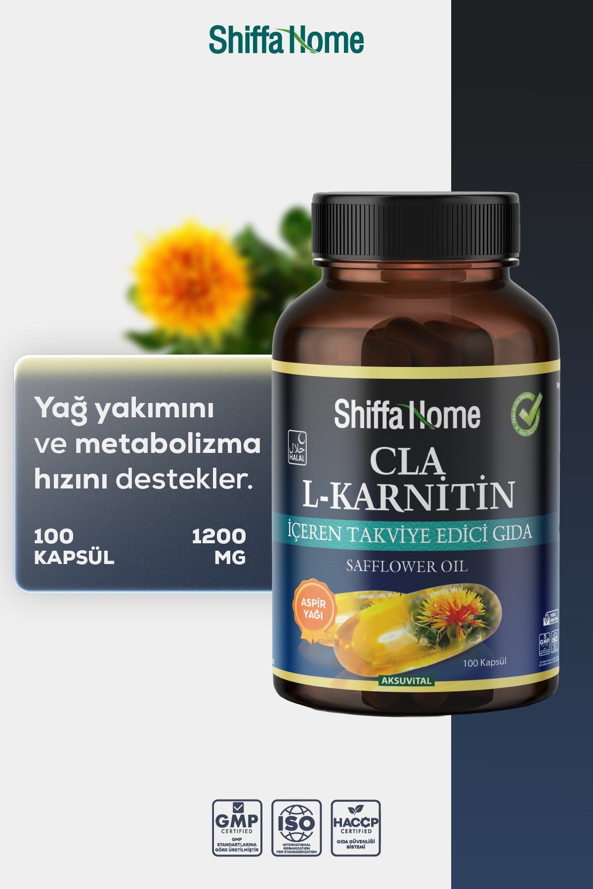 L-Karnitin Cla Aspir Yağı 100 Softjel Kapsül
