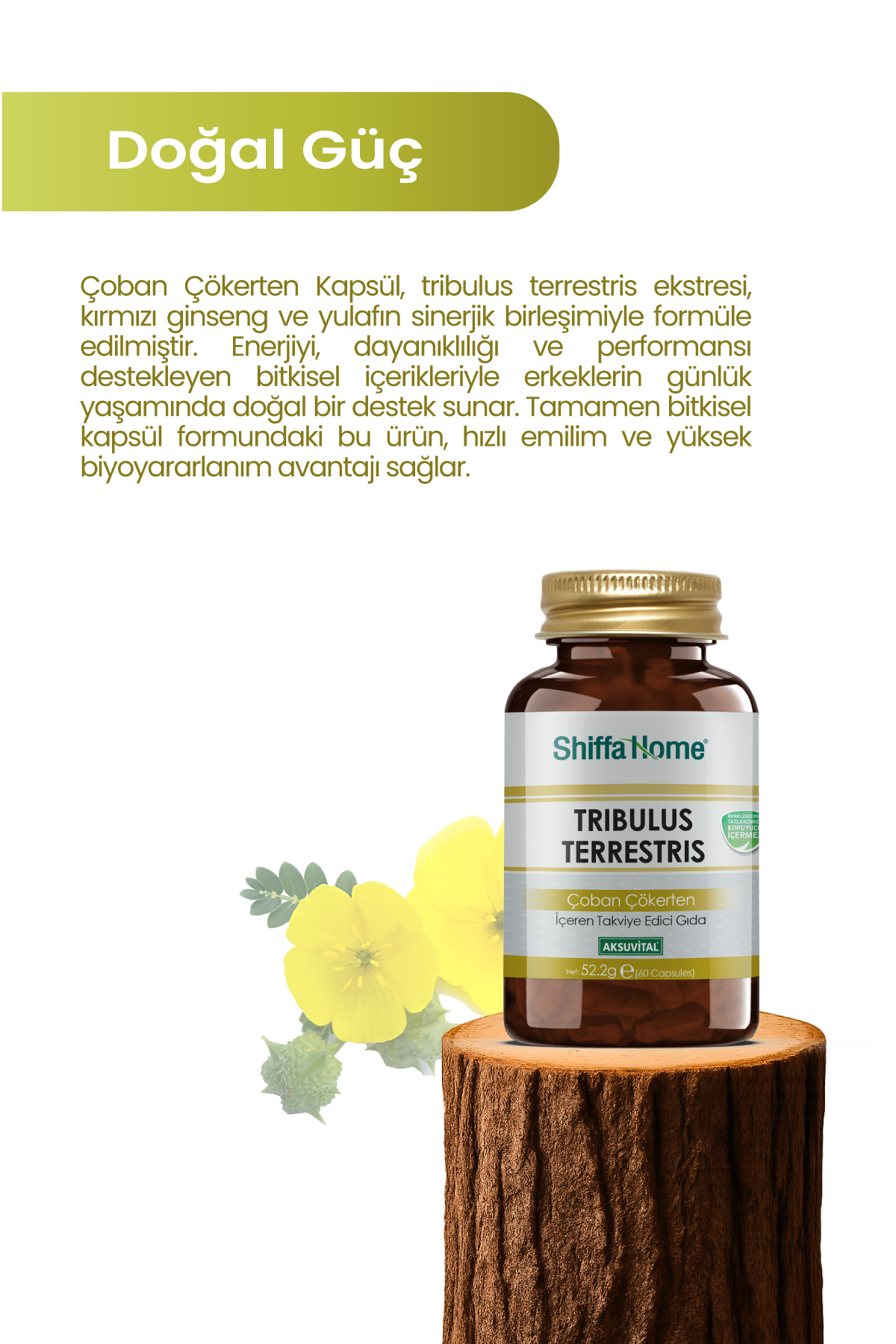 Çoban Çökerten Tribulus Terrestrıs 60kapsül