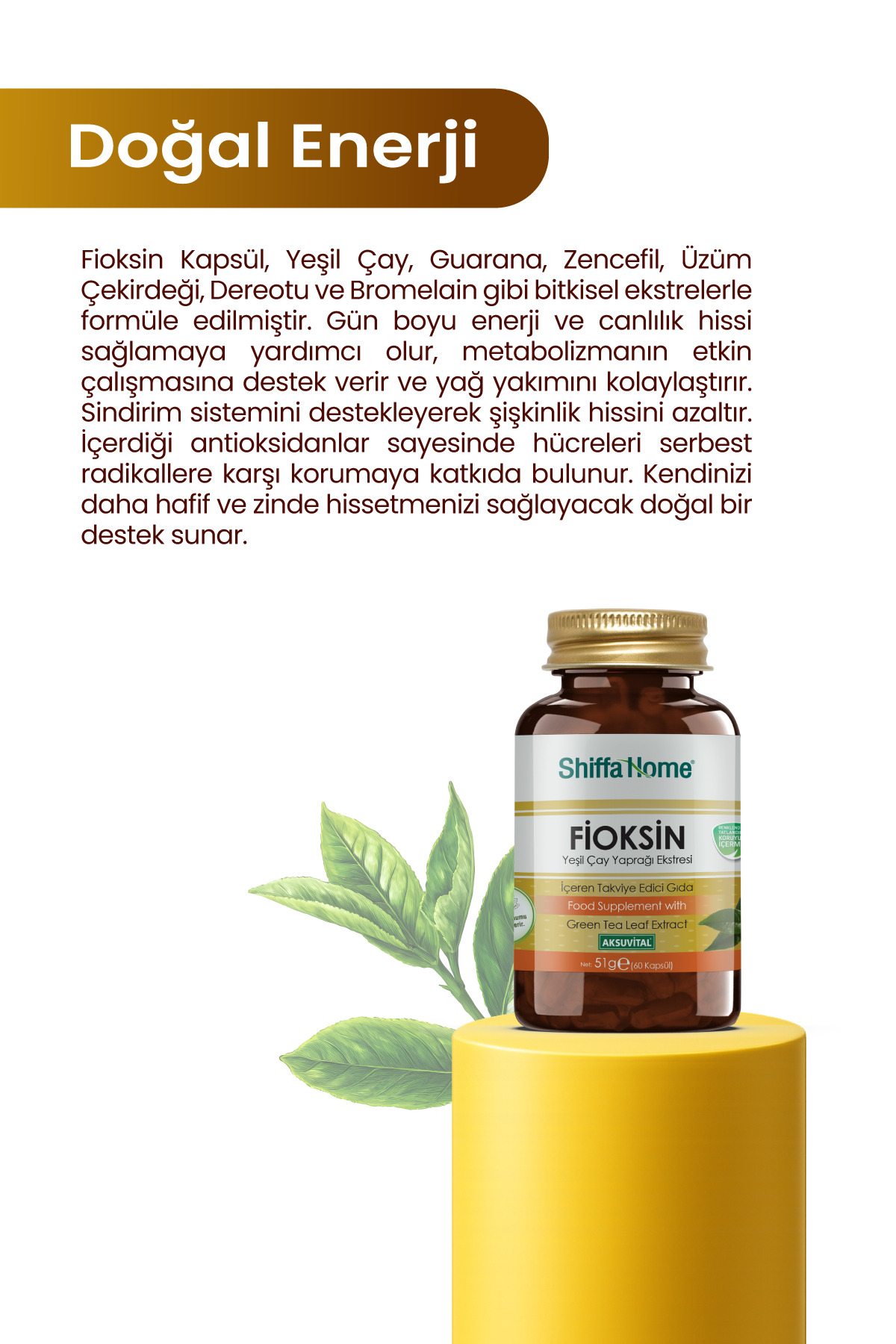 Fioksin Yeşil Çay Yaprağı Ekstresi 60 Kapsül