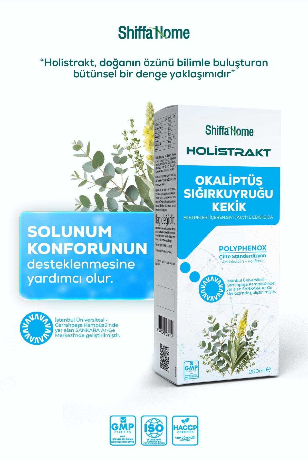 HOLİSTRAKT - Okaliptus, Sığırkuyruğu ve Kekik İçeren Sıvı Ekstrat 250 ML