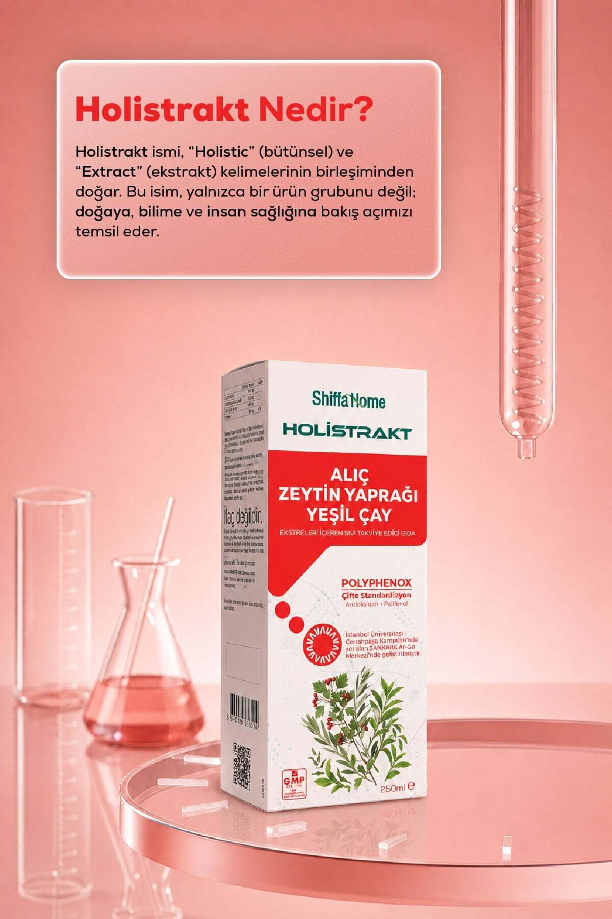 HOLİSTRAKT - Alıç, Zeytinyaprağı ve Yeşilçay İçeren Sıvı Ekstrakt 250 ML