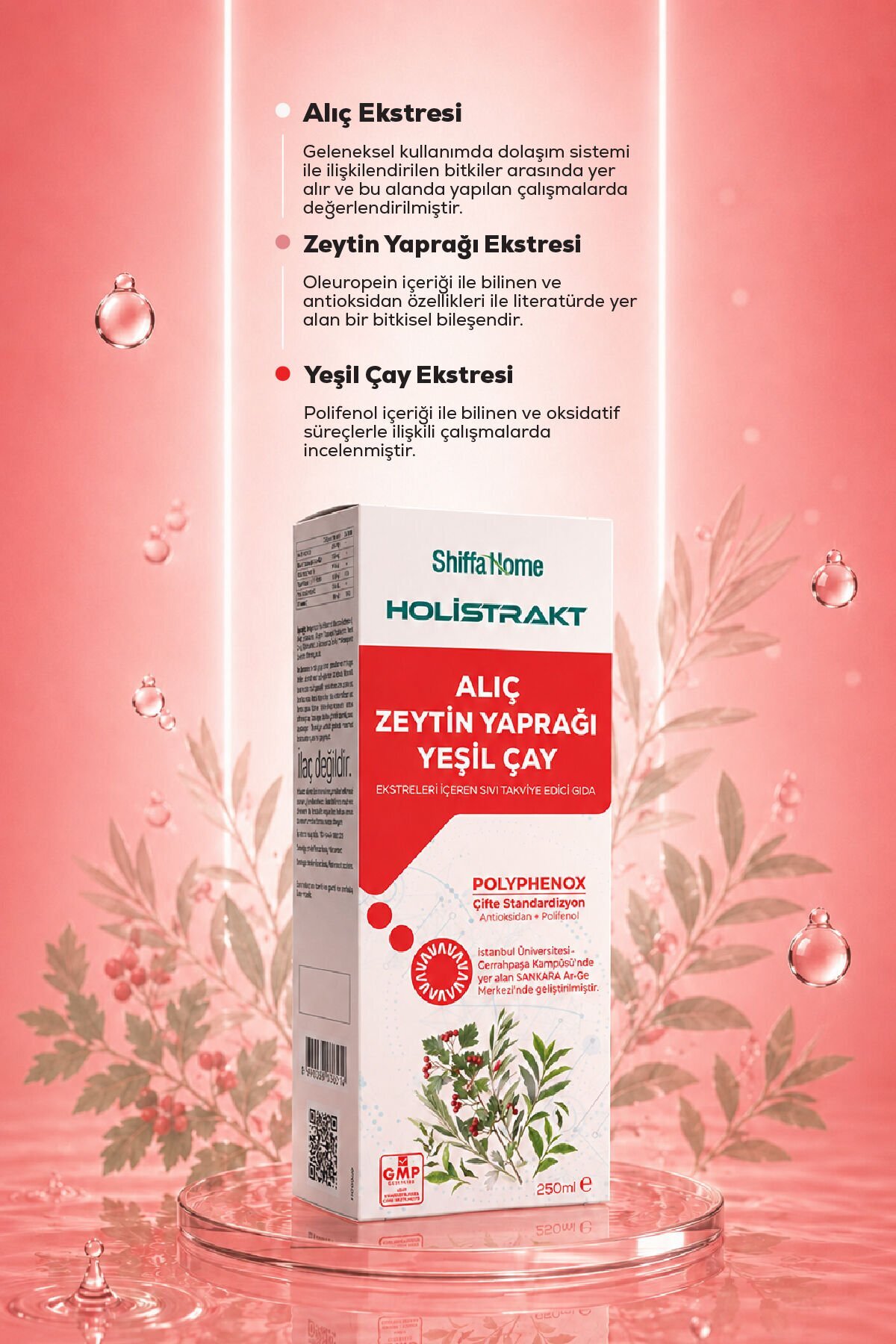 HOLİSTRAKT - Alıç, Zeytinyaprağı ve Yeşilçay İçeren Sıvı Ekstrakt 250 ML