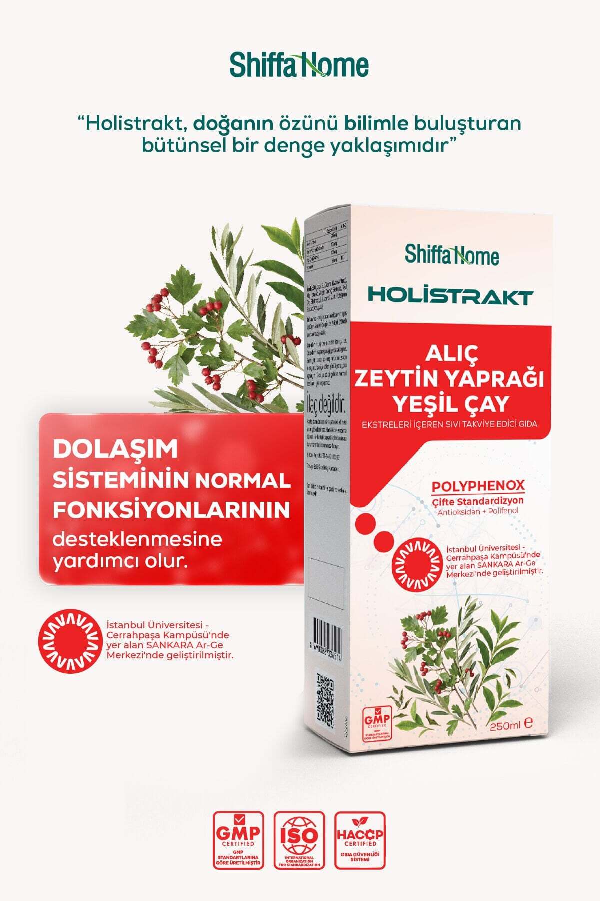 HOLİSTRAKT - Alıç, Zeytinyaprağı ve Yeşilçay İçeren Sıvı Ekstrakt 250 ML