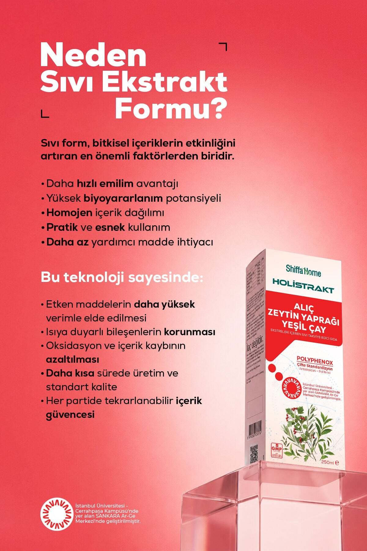 HOLİSTRAKT - Alıç, Zeytinyaprağı ve Yeşilçay İçeren Sıvı Ekstrakt 250 ML