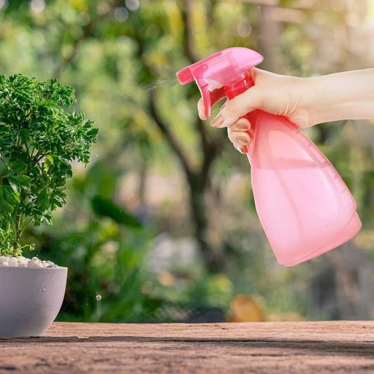 Çok Amaçlı Fısfıs Çiçek Sulama Plastik Su Sprey Şişesi 700 Ml Tp-219