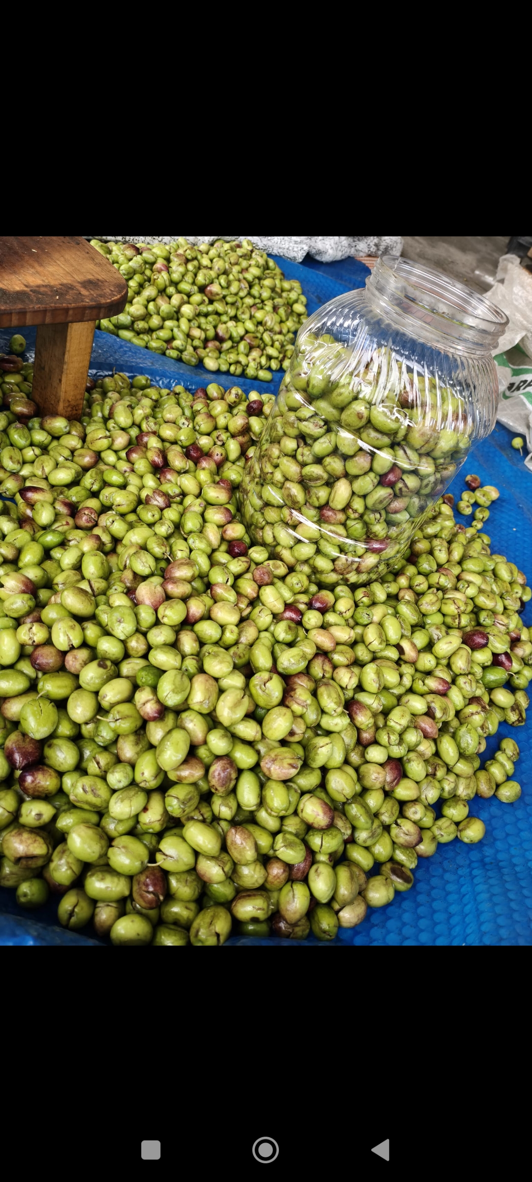 El kırması yeşil zeytin
