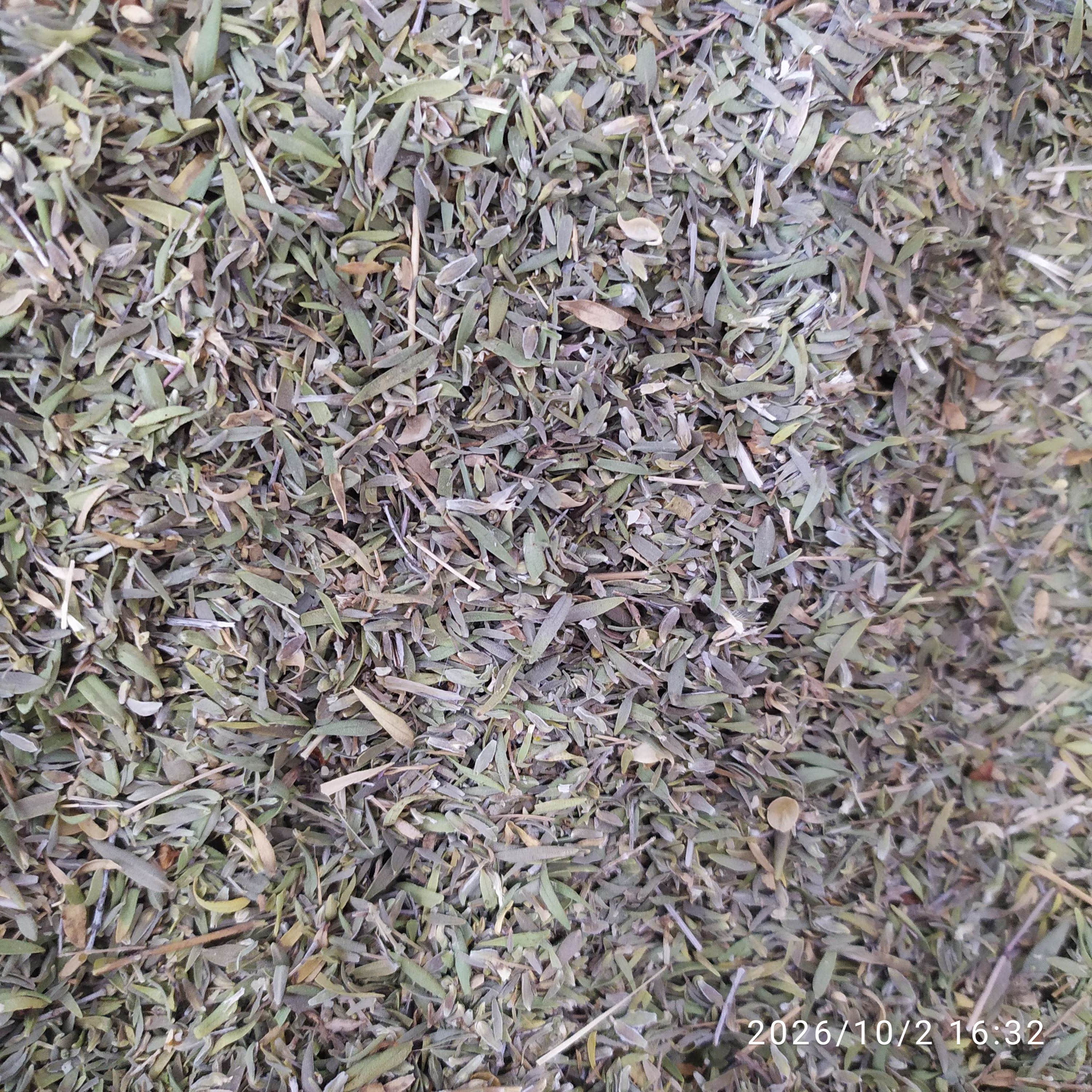 Dağ Kekiği 1 Kg