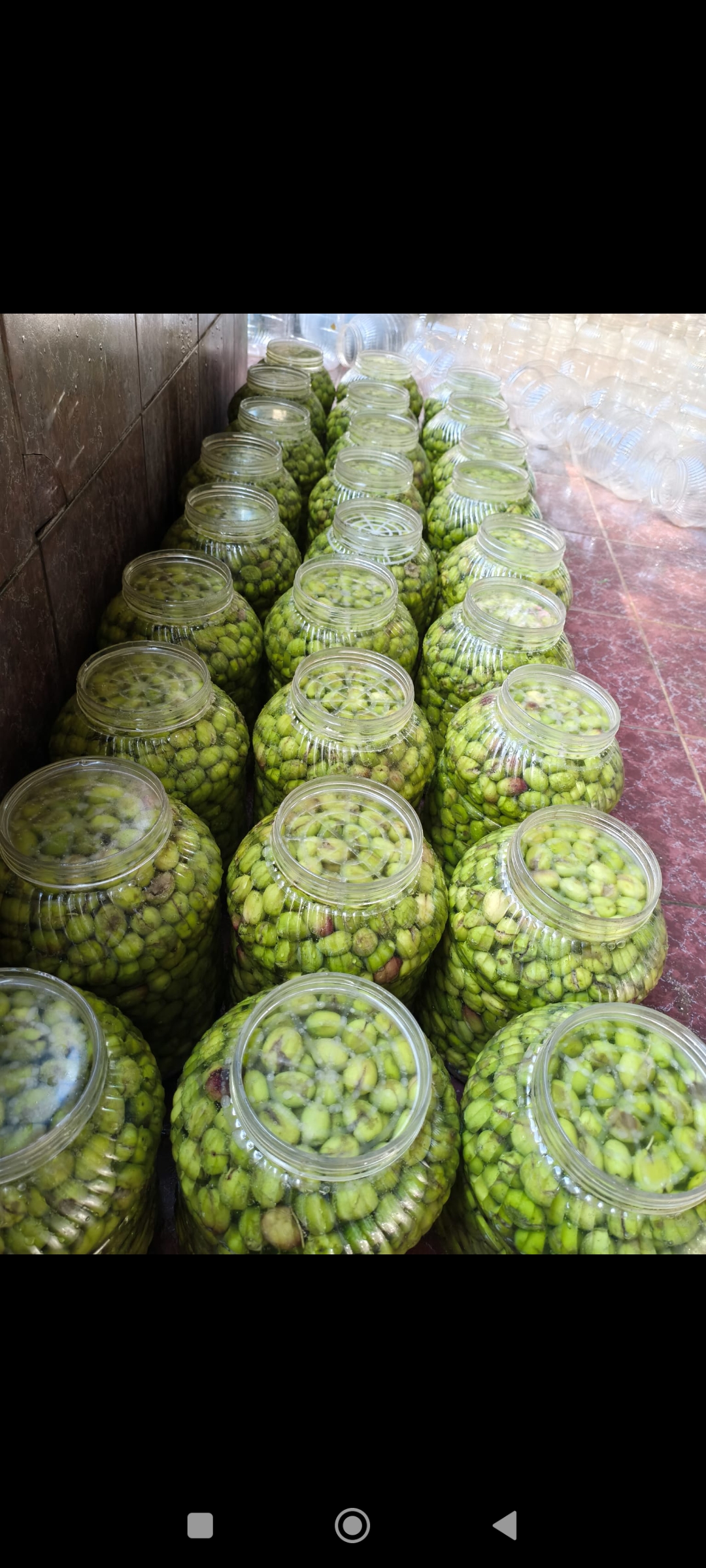 El kırması yeşil zeytin