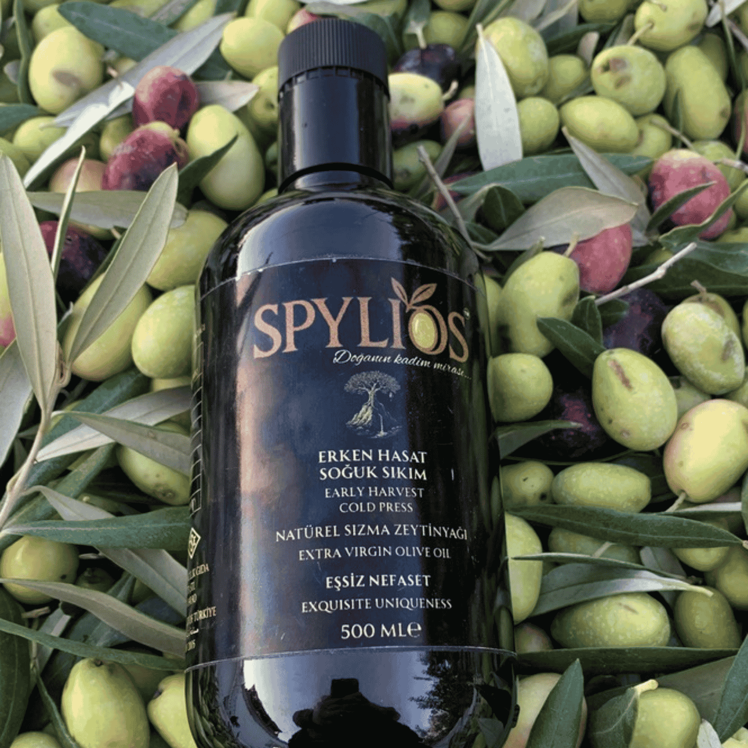 Spylios Natürel Erken Hasat Soğuk Sıkım Domat Sızma Zeytinyağı 500 ml (2025-2026 Sezonu Yeni Hasat)