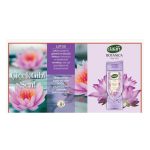 Dalan Duş Jeli Botanica Lotus 450 Ml x 3 Adet