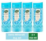 Dalan Duş Jeli Botanıca Orkide Özlü 450 Ml x 4 Adet