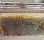 Kars Saf Şekersiz Petek Balı 1 KG