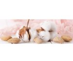 Lux Göğüs Pedi 20 Li x 2 Paket