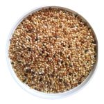 Vivid Muhabbet Kuşu Yemi Açık 1 KG