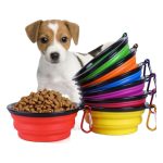 Petzoom Katlanır Mama ve Su Kabı