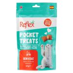 Pocket Treats Skin And Coat Kedi Ödülü 60 Gr