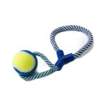 Tenis Toplu Hayat Oyuncak