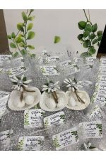 Deniz Kabuğu Fıstık Şekerli Nikah, Söz, Nişan Hediyelik - 25 Adet
