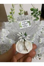Deniz Kabuğu Fıstık Şekerli Nikah, Söz, Nişan Hediyelik - 25 Adet
