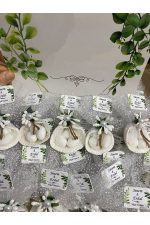 Deniz Kabuğu Fıstık Şekerli Nikah, Söz, Nişan Hediyelik - 25 Adet