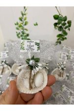 Deniz Kabuğu Fıstık Şekerli Nikah, Söz, Nişan Hediyelik - 50 Adet