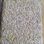 Dolmalık Fıstık 1 Kg